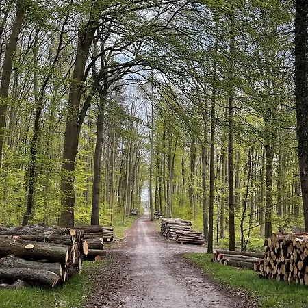 Bernsteinhaus Whg 1, Strandnah Mit Kamin Und Wlan * Kölpinsee