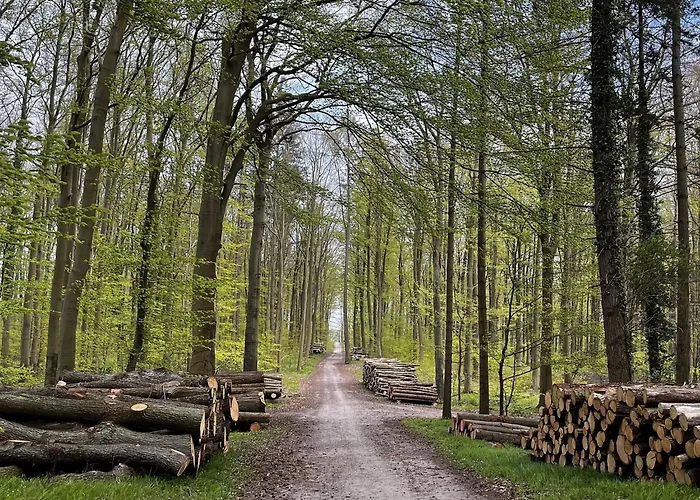 Bernsteinhaus Whg 1, Strandnah Mit Kamin Und Wlan * Kolpinsee
